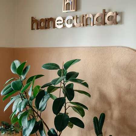 Hane Cunda * Ayvalı