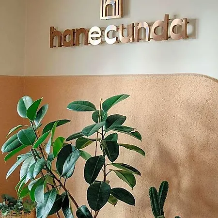 Hotell Hane Cunda Ayvalı