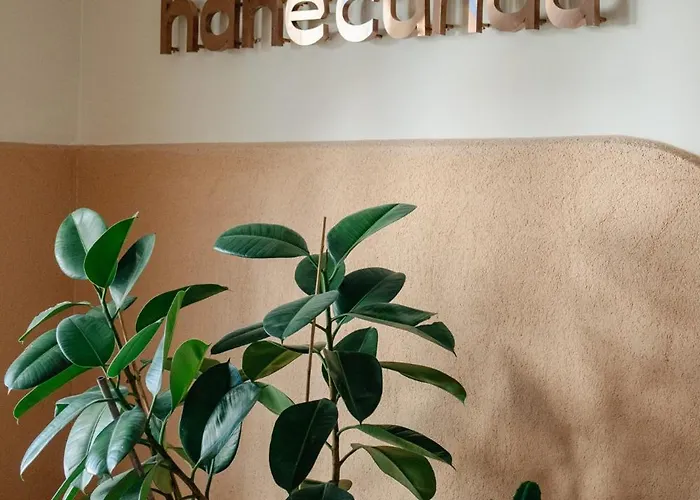 Hane Cunda * Ayvalı